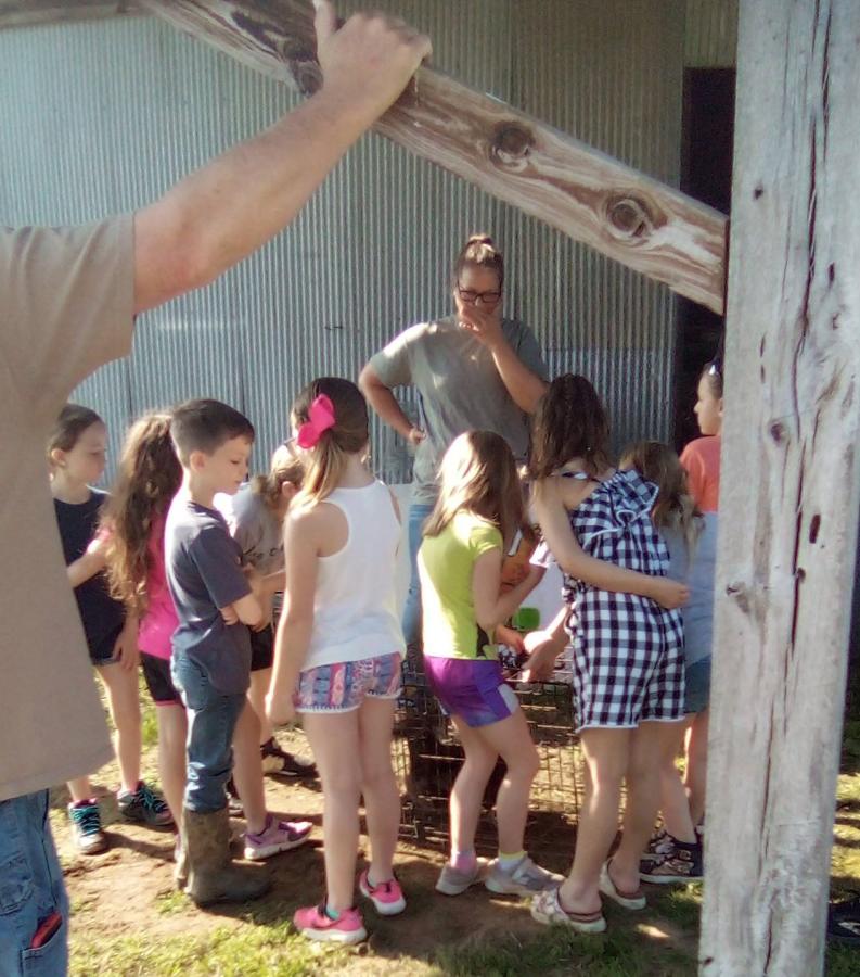 Group of 2nd graders surrounding chicken cage at Ag Day 22